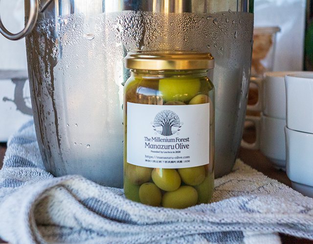 真鶴オリーブ園 写真8